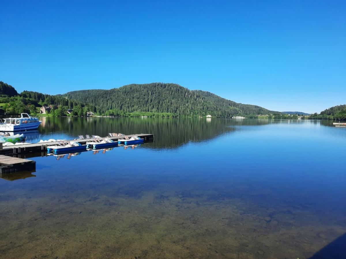 Logis Dans Construction De Caractere Apartment Gerardmer